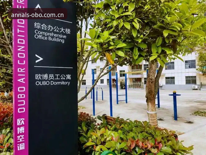 资深用户分享：欧博体育平台欧博新版首页2025版体验心得